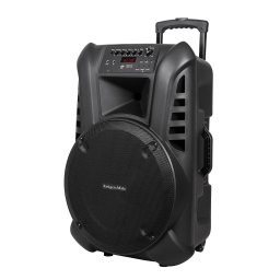 Kr??ger & Matz mobiele luidspreker party speaker box met 2 UHF draadloze microfoons en bluetooth 60 Watt zwart